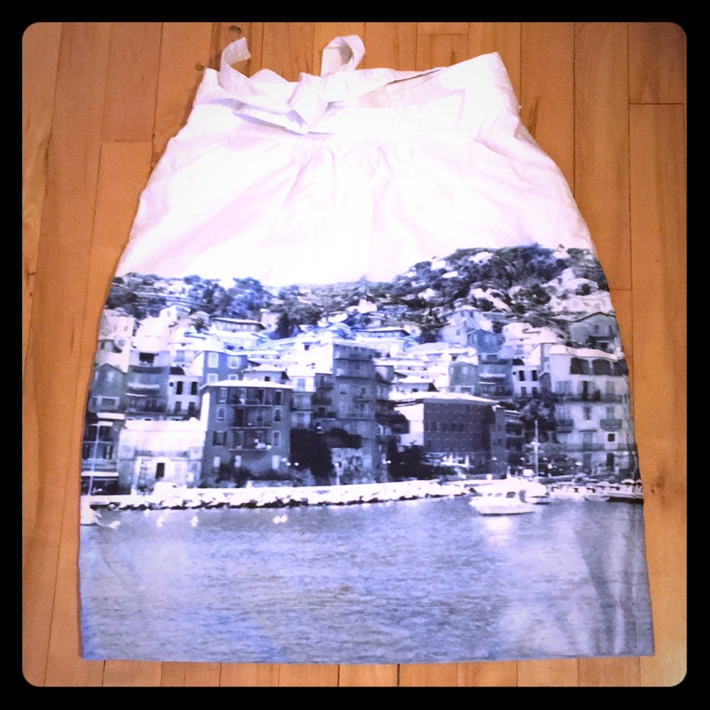 Antropologie midi skirt size 2